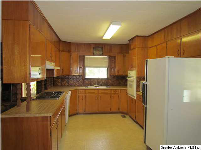 307 Kiowa Road Remlap, AL 35133 - Photo 8 of 20