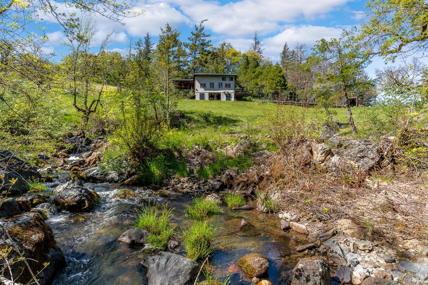 a view of a garden with plants