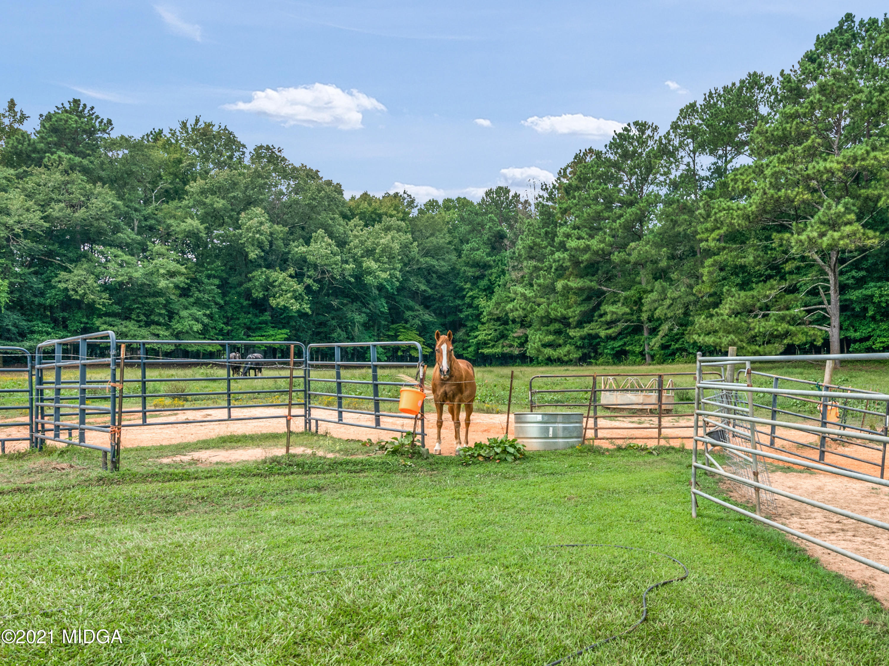 747 Chuli Road Griffin, GA 30223 - Photo 43 of 45 a view of a park with a large park