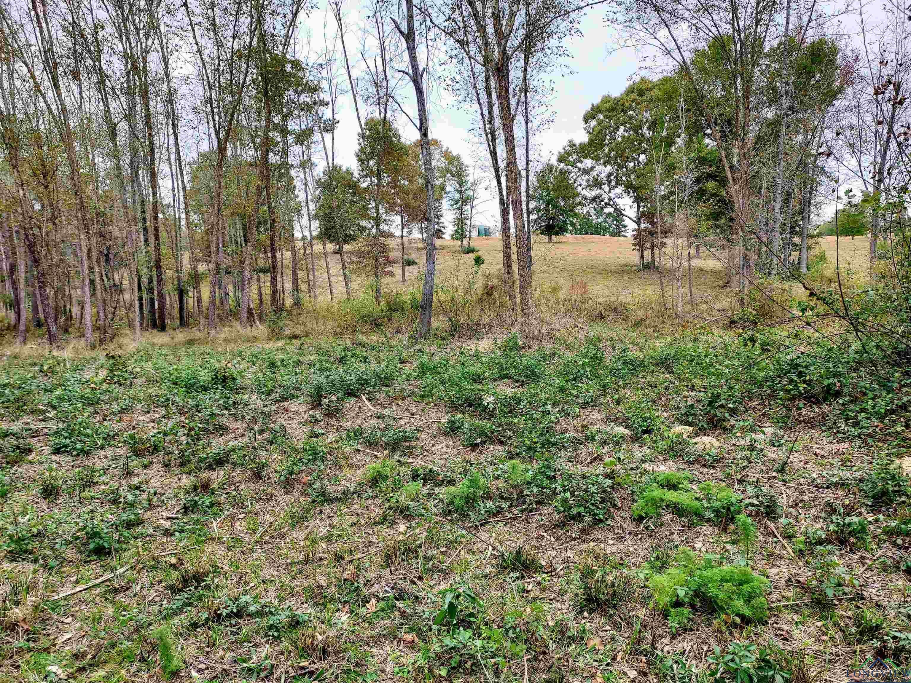 Tbd Almond Road Big Sandy, TX 75755 - Photo 24 of 36 Gallery Image 24