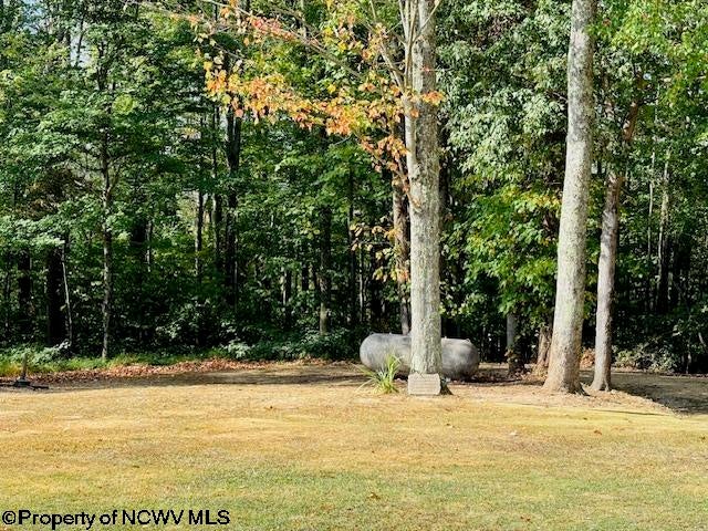 98 Kraft Road Grafton, WV 26354 - Photo 19 of 50 Gallery Image 19
