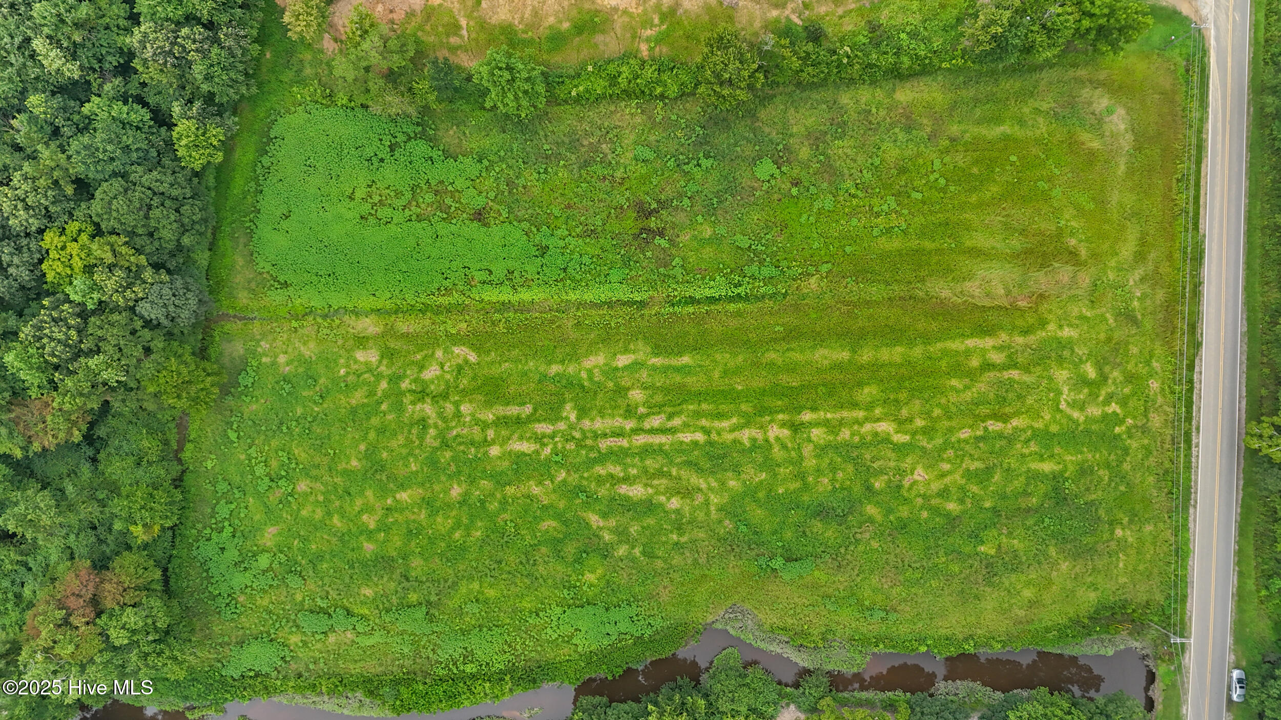 0 Coras Grove Road Willard, NC 28478 - Photo 5 of 9 5_lot