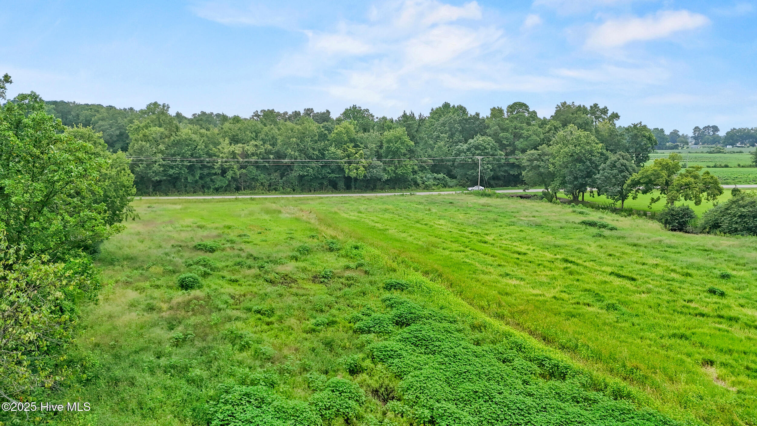 0 Coras Grove Road Willard, NC 28478 - Photo 9 of 9 9_lot