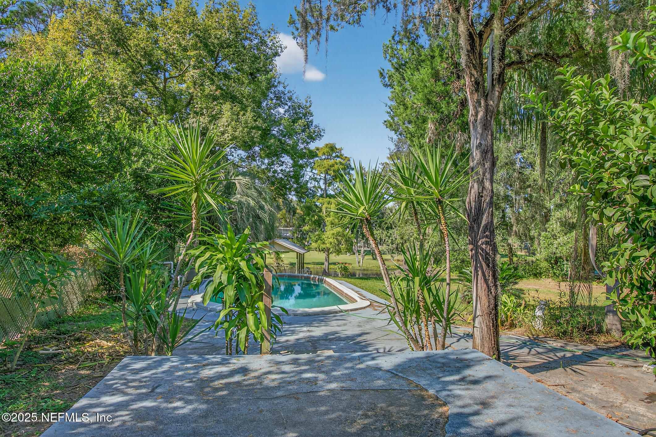 5164 Eulace Road Jacksonville, FL 32210 - Photo 27 of 37 Backyard