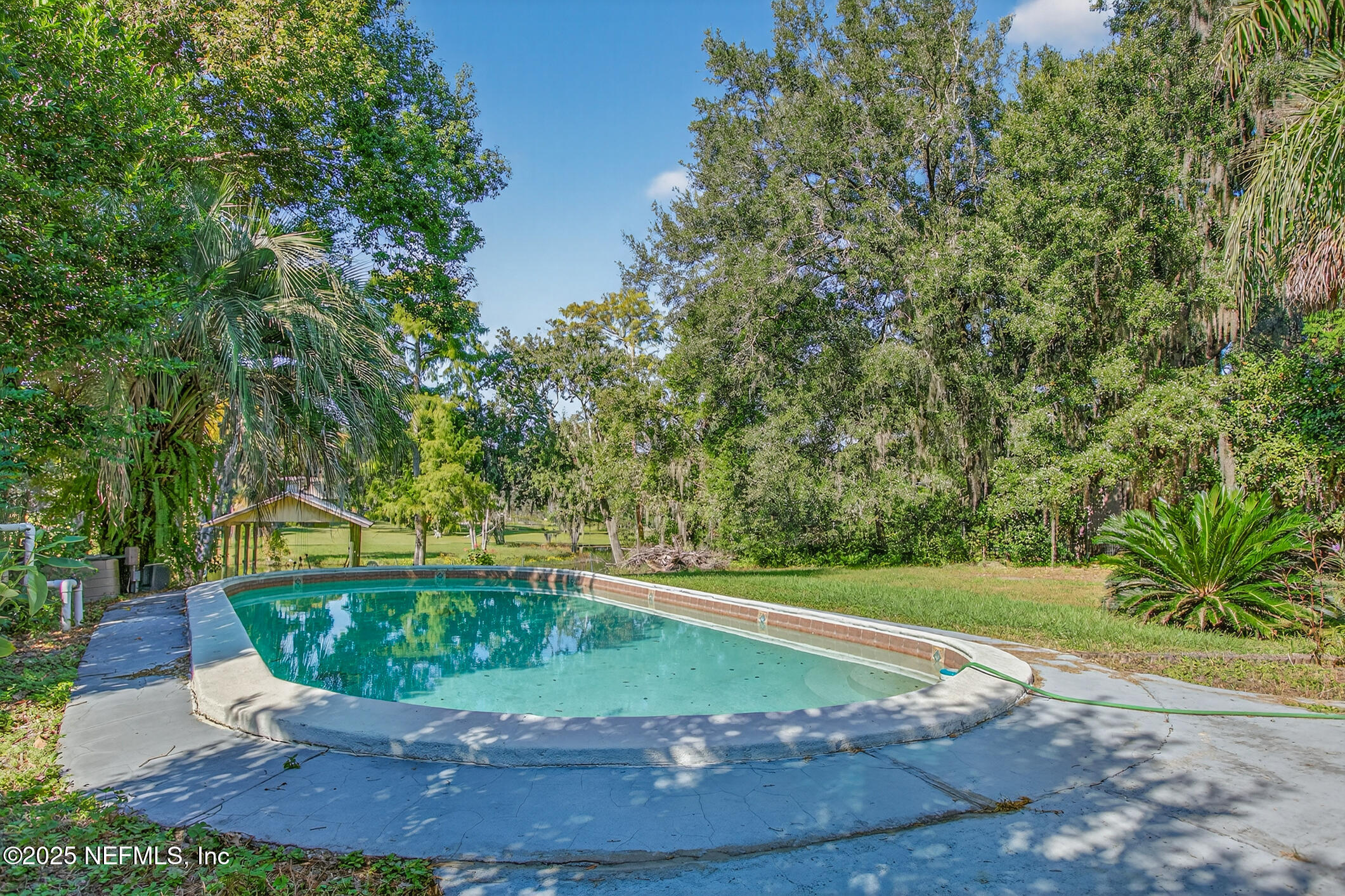 5164 Eulace Road Jacksonville, FL 32210 - Photo 28 of 37 Pool