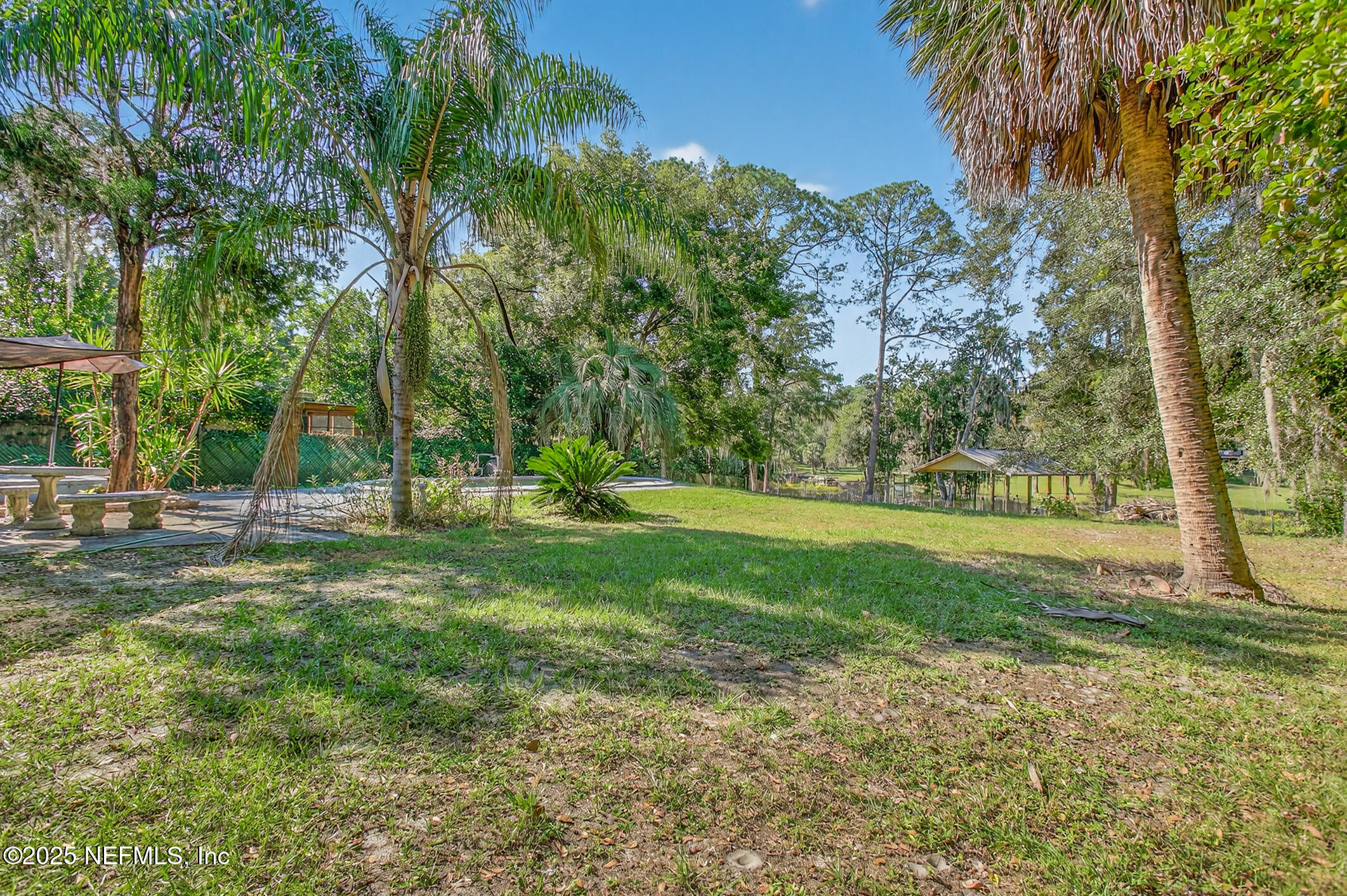 5164 Eulace Road Jacksonville, FL 32210 - Photo 29 of 37 Exterior Backyard