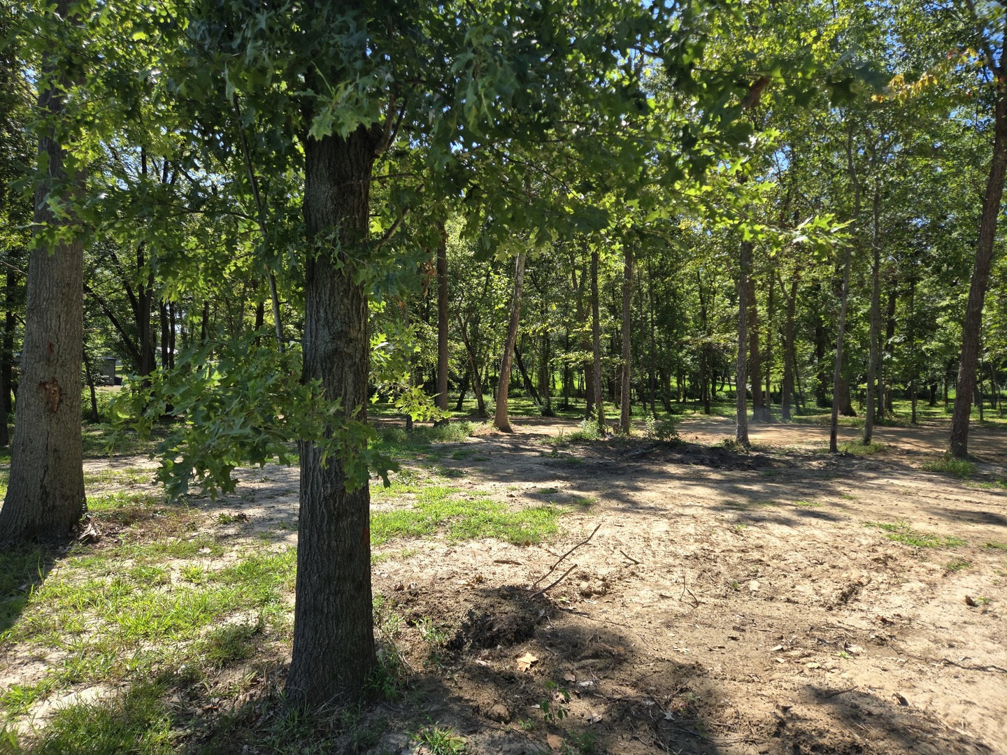 Lot 3 Northeast Norman Road Marion, IL 62959 - Photo 5 of 7 Gallery Image 5