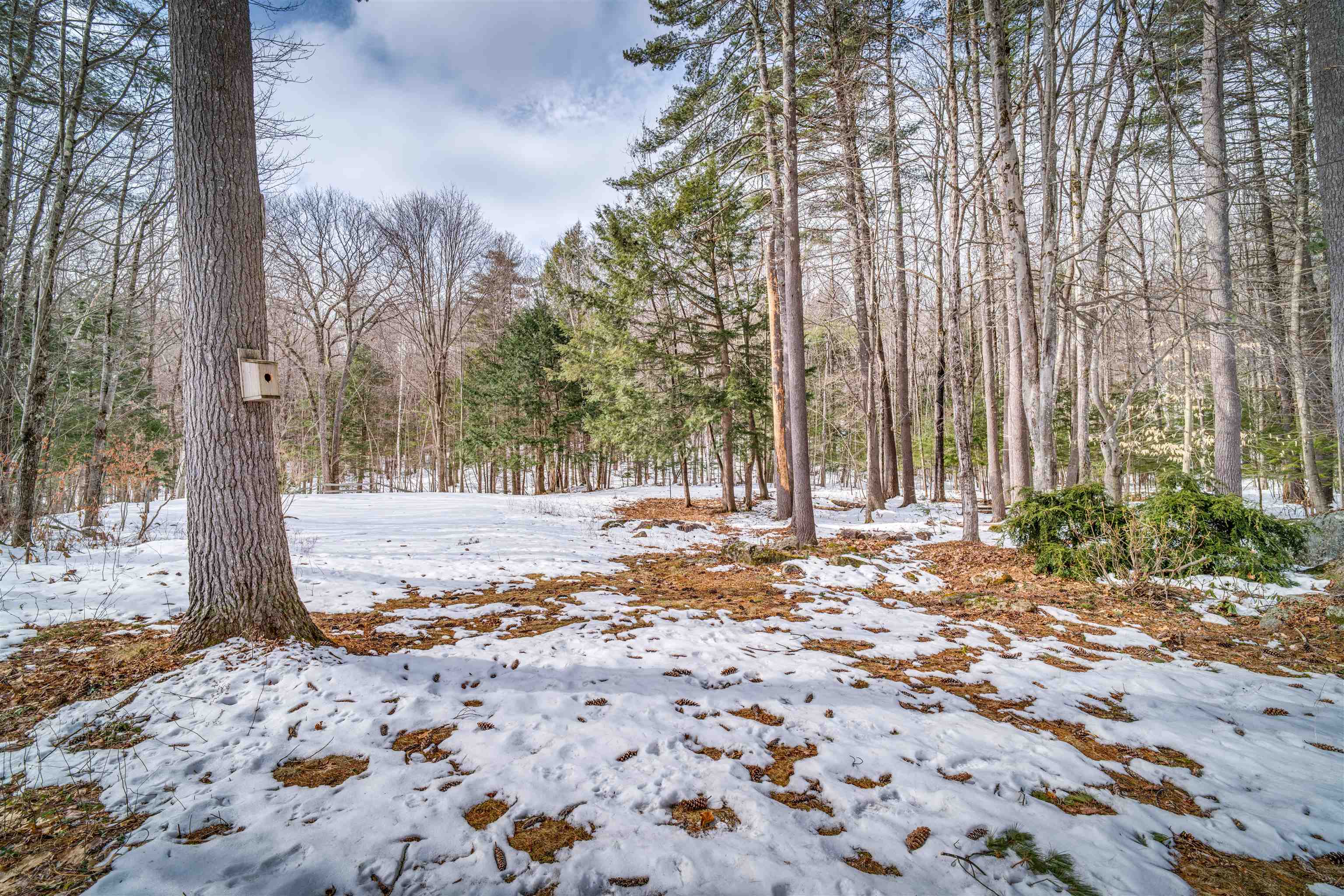 39 Wood Ridge Road Center Harbor, NH 03226 - Photo 27 of 38 Gallery Image 27