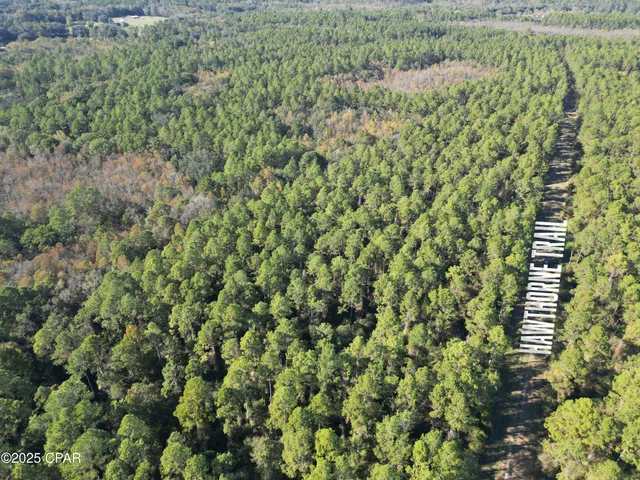 $125,000 | 20 Hawthorne Trail, Bonifay, FL 32425