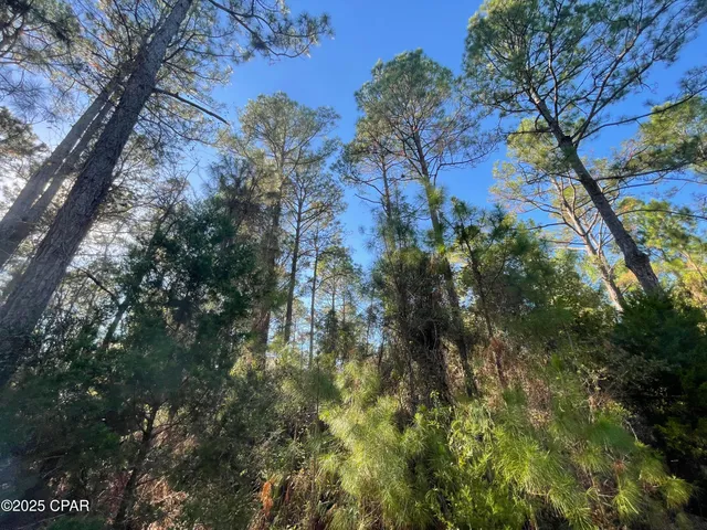 $125,000 | 20 Hawthorne Trail, Bonifay, FL 32425