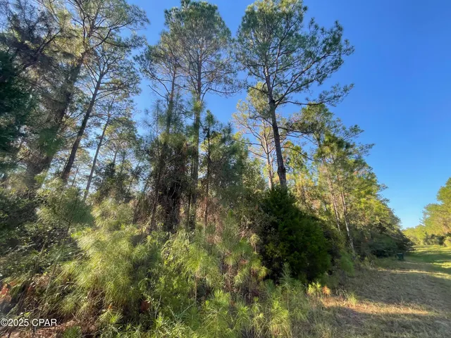 $125,000 | 20 Hawthorne Trail, Bonifay, FL 32425