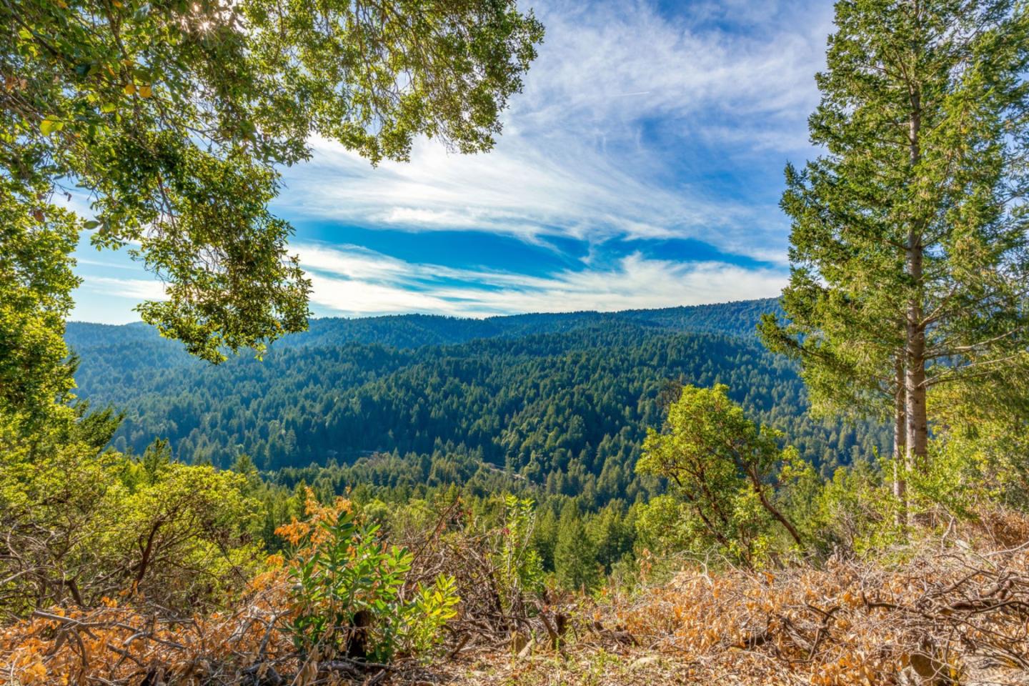 1202 Roberts Road Ben Lomond, CA 95005 - Photo 32 of 36 Gallery Image 32
