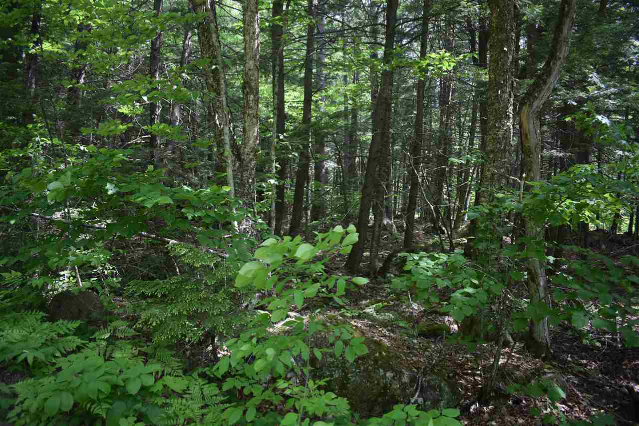 Spring Street Hillsborough, NH 03244 - Photo 5 of 5 Gallery Image 5