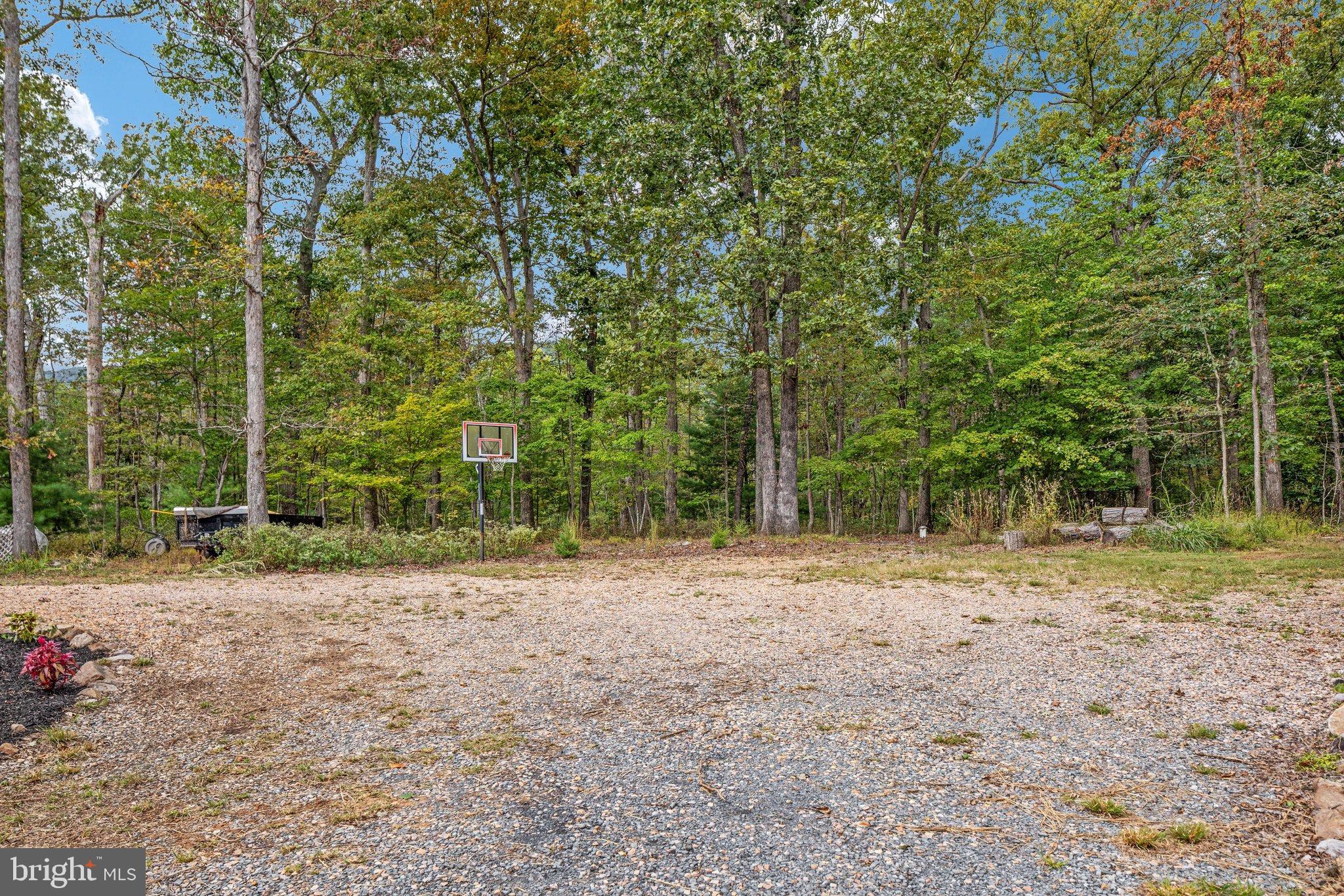 3823 Panhandle Road Front Royal, VA 22630 - Photo 52 of 78 Side Basketball hoop