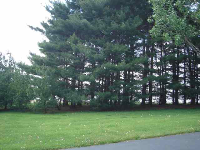 5298 North Afolkey Road Freeport, IL 61032 - Photo 5 of 9