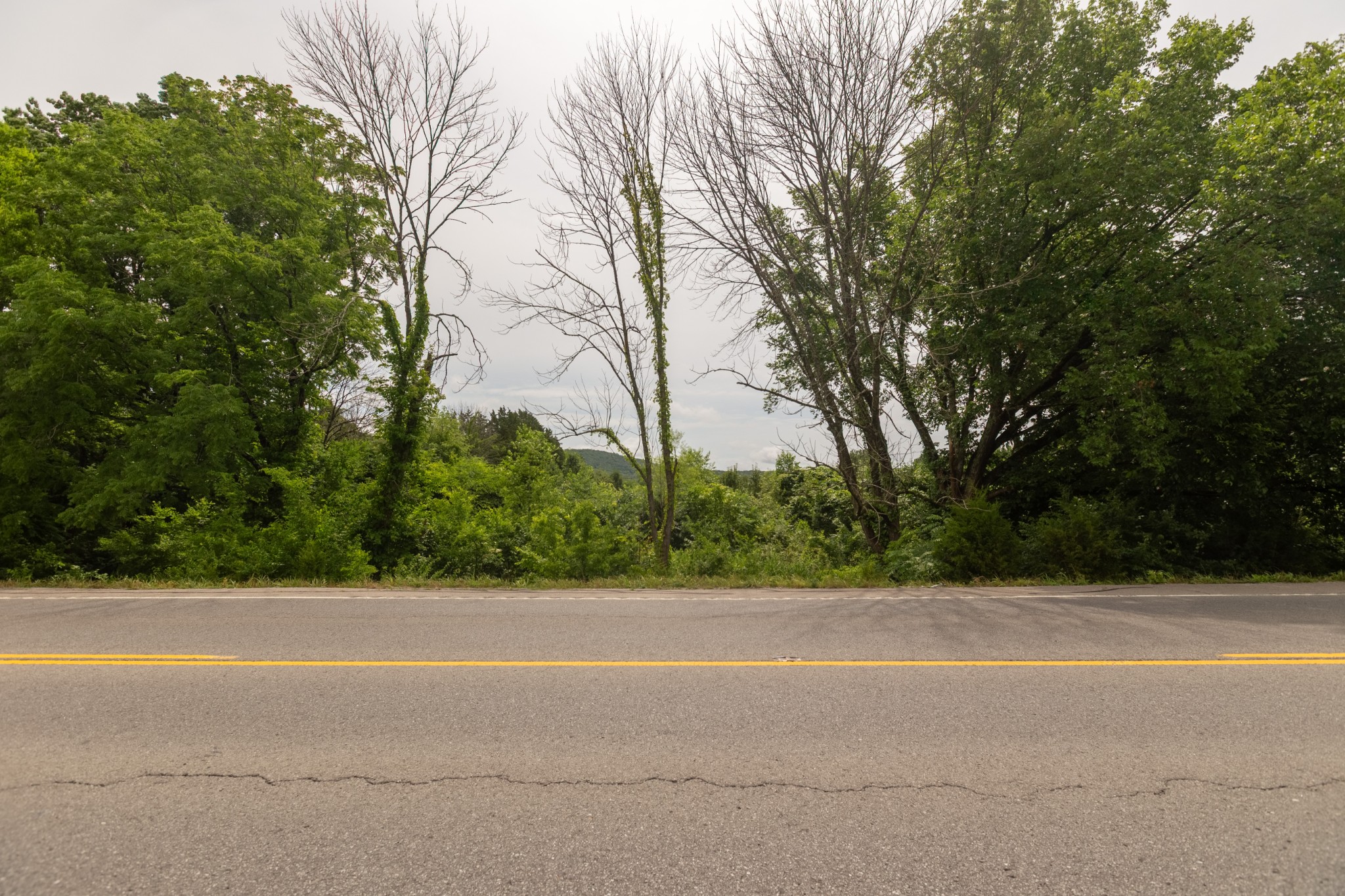 3303 Murfreesboro Road Lebanon, TN 37090 - Photo 2 of 9