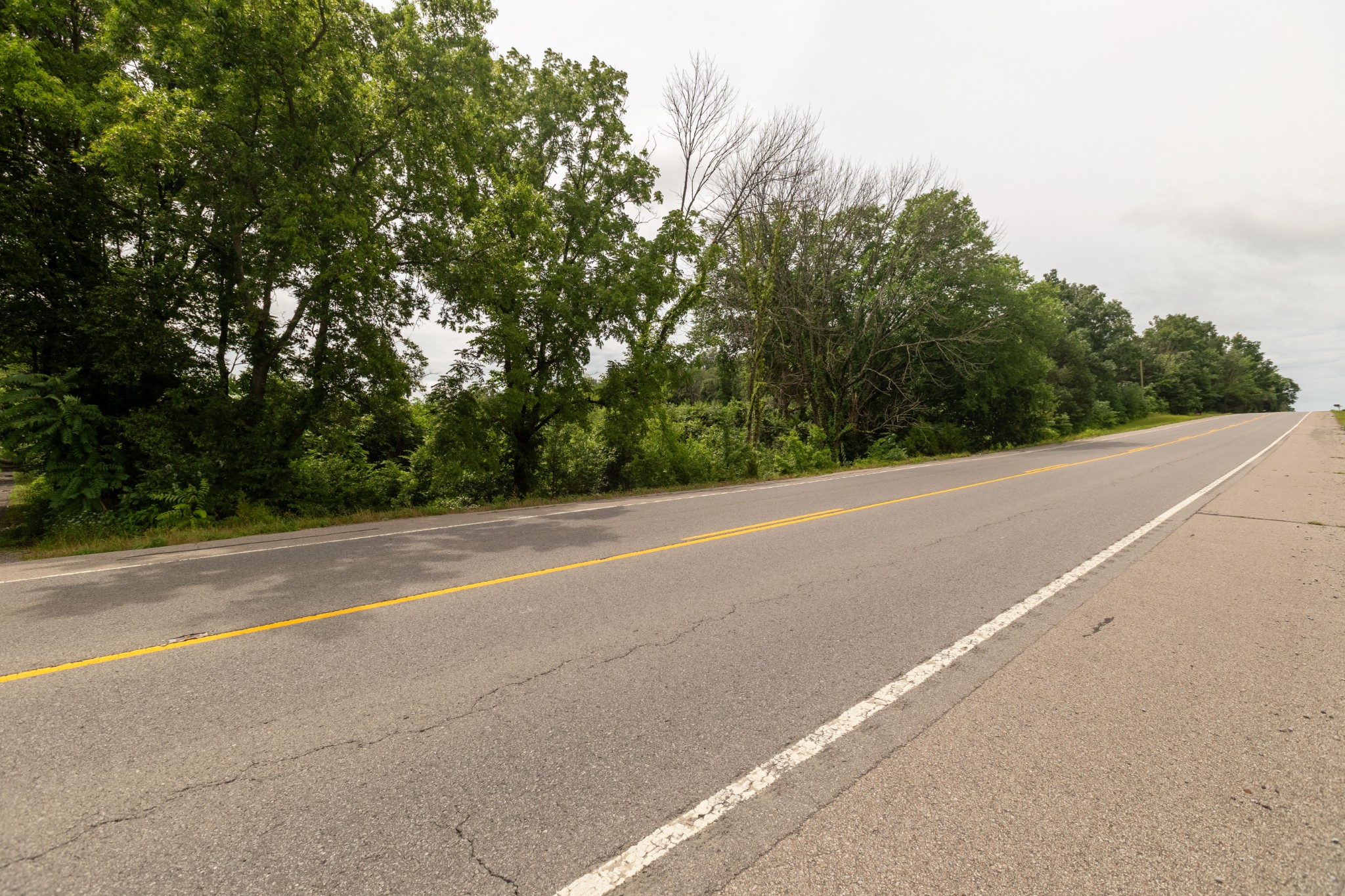 3303 Murfreesboro Road Lebanon, TN 37090 - Photo 4 of 9