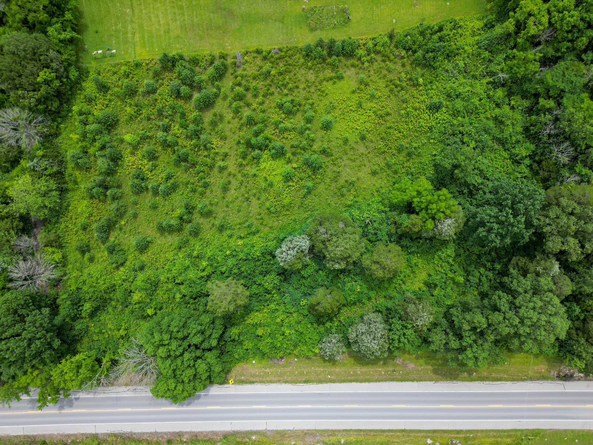 3303 Murfreesboro Road Lebanon, TN 37090 - Photo 5 of 9