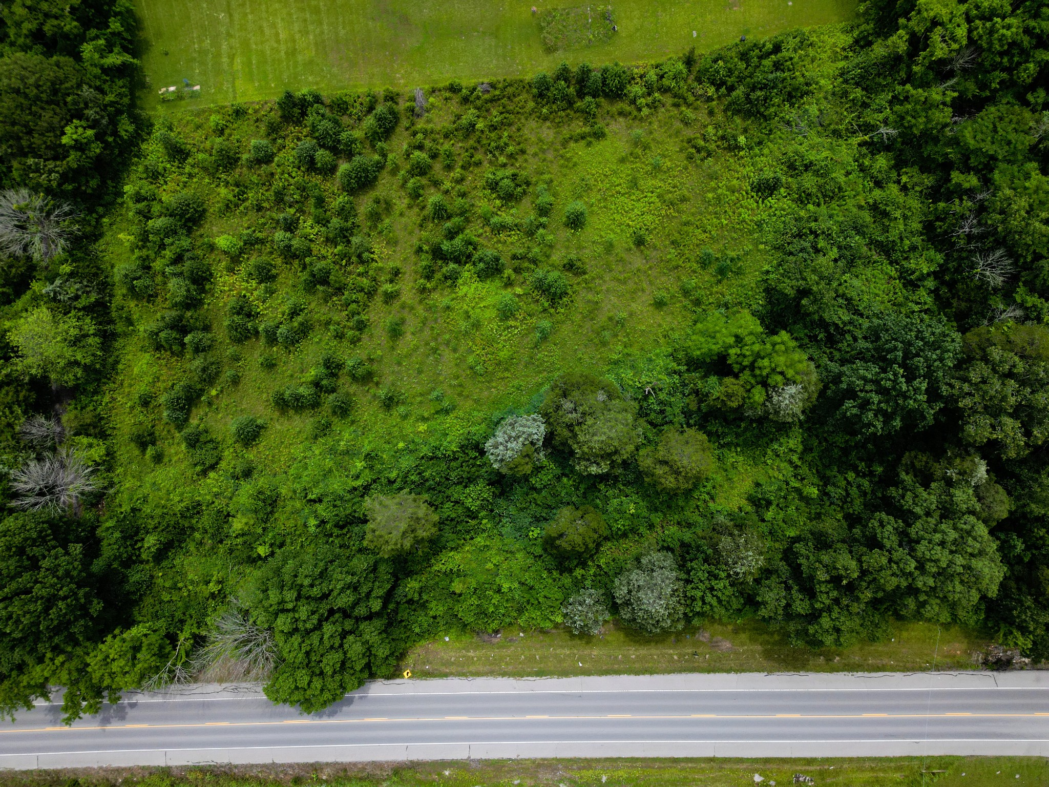 3303 Murfreesboro Road Lebanon, TN 37090 - Photo 6 of 9