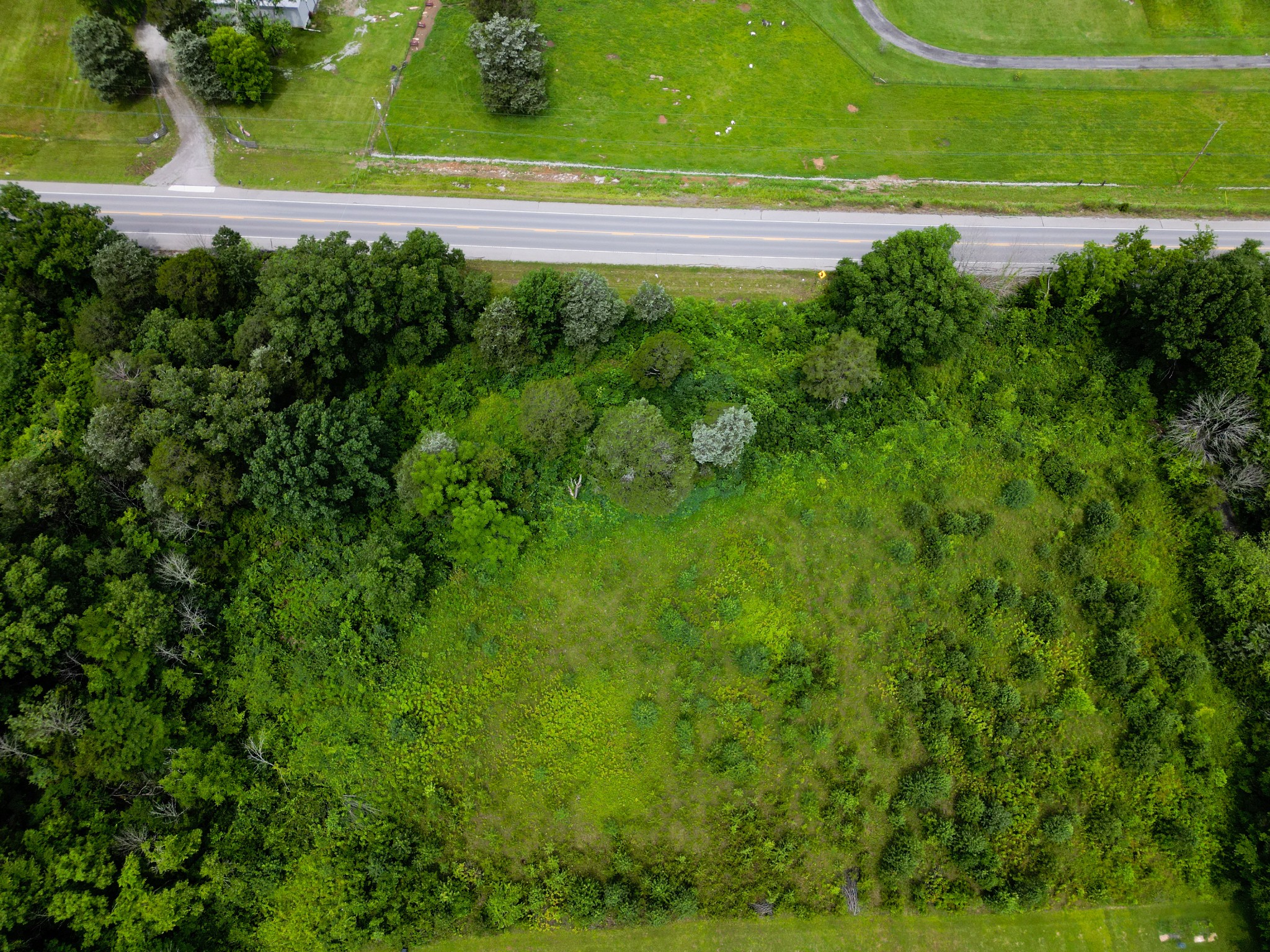 3303 Murfreesboro Road Lebanon, TN 37090 - Photo 7 of 9