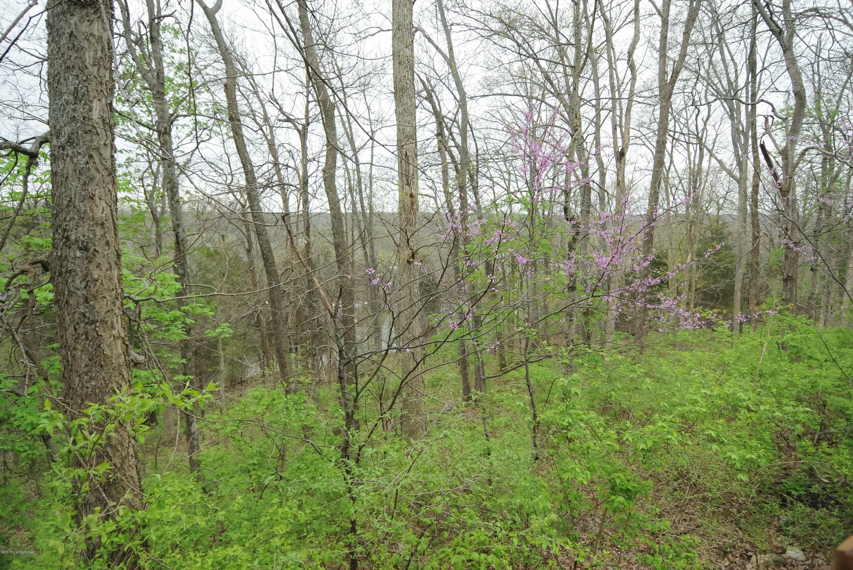 5001 Thurman Road Louisville, KY 40299 - Photo 37 of 43 5001ThurmanRd-38