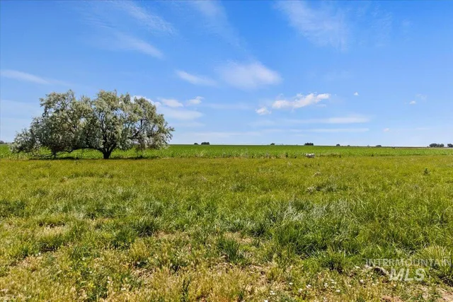 $469,999 | 3752 North 1200 East, Buhl, ID 83316