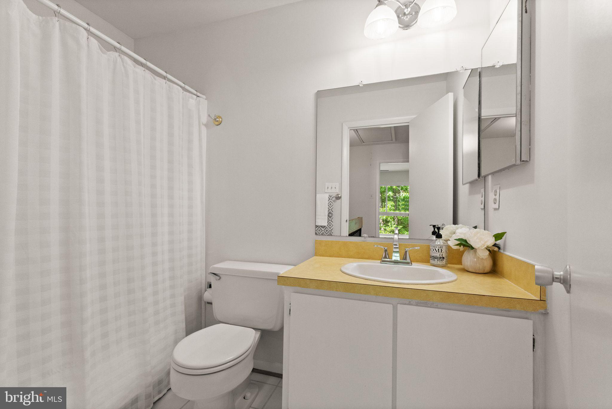 11645 Newbridge Court Reston, VA 20191 - Photo 52 of 62 a bathroom with a sink toilet and mirror