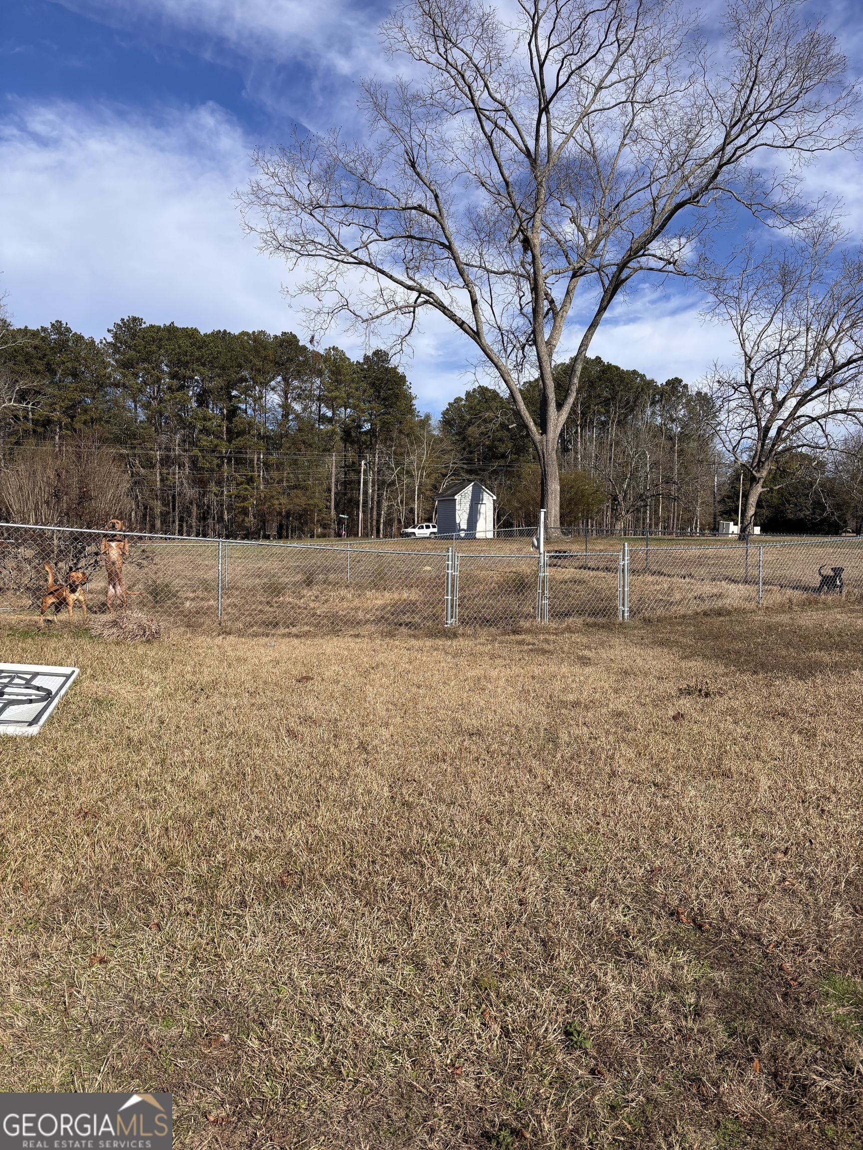 47 Deer Run Williamson, GA 30292 - Photo 20 of 20