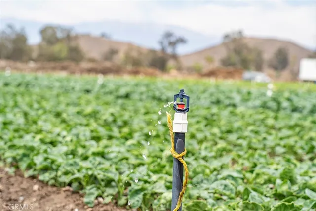 $8,499,989 | 34250 Olive Avenue, Winchester, CA 92596