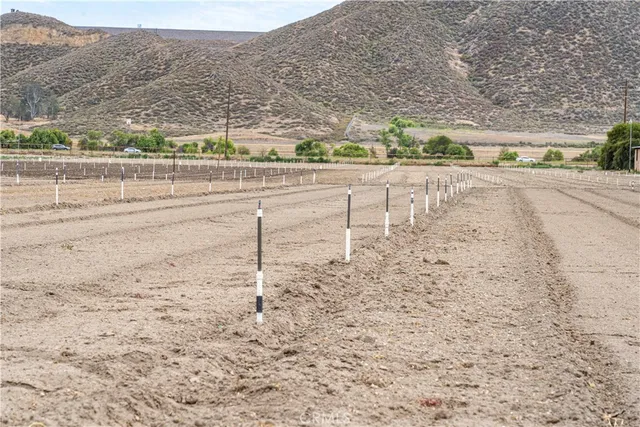 $8,499,989 | 34250 Olive Avenue, Winchester, CA 92596