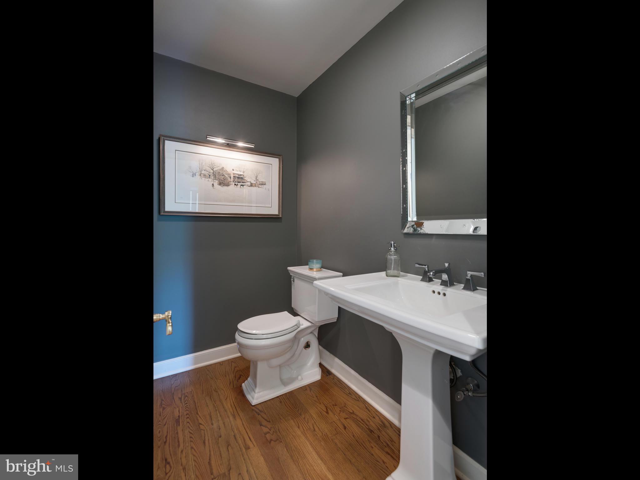 530 West Township Line Road Downingtown, PA 19335 - Photo 34 of 65 Powder room