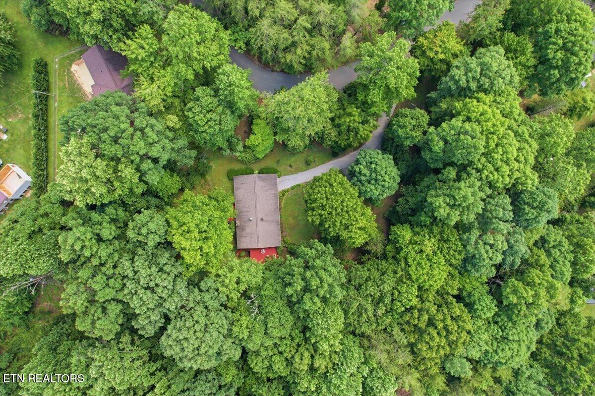 129 Jefferson Street Harrogate, TN 37752 - Photo 51 of 51 5-June_19_drone_photos_023