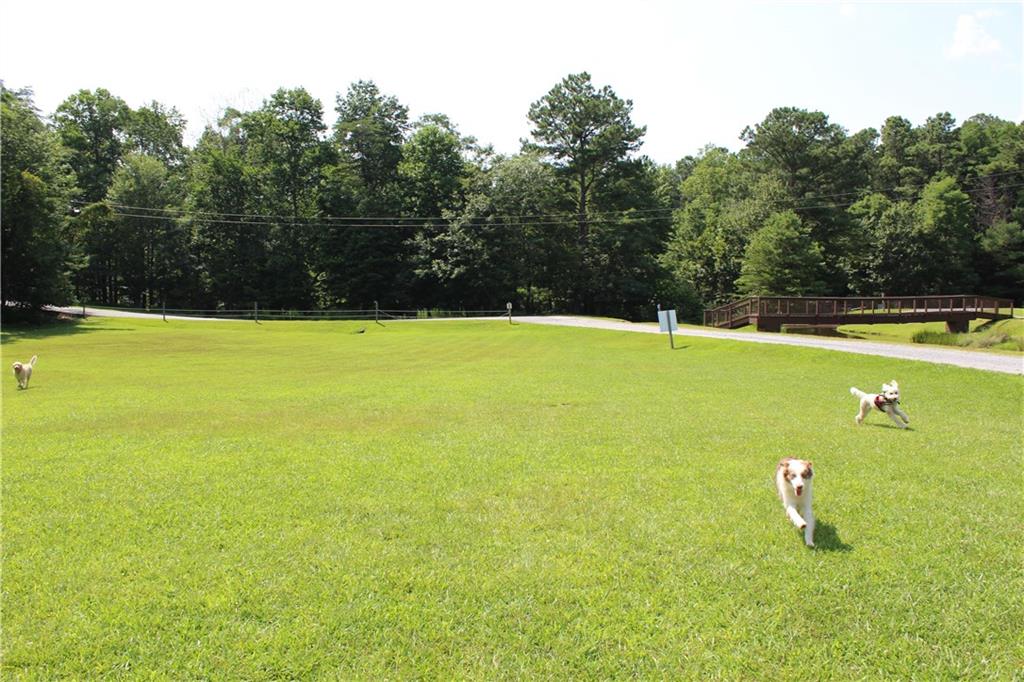 0 Denny Ridge Road Jasper, GA 30143 - Photo 13 of 44 a view of a large court