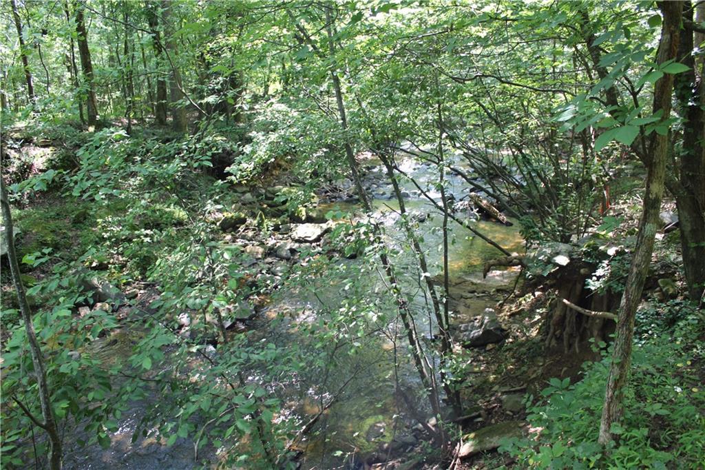 0 Denny Ridge Road Jasper, GA 30143 - Photo 16 of 44 a view of a lush green forest