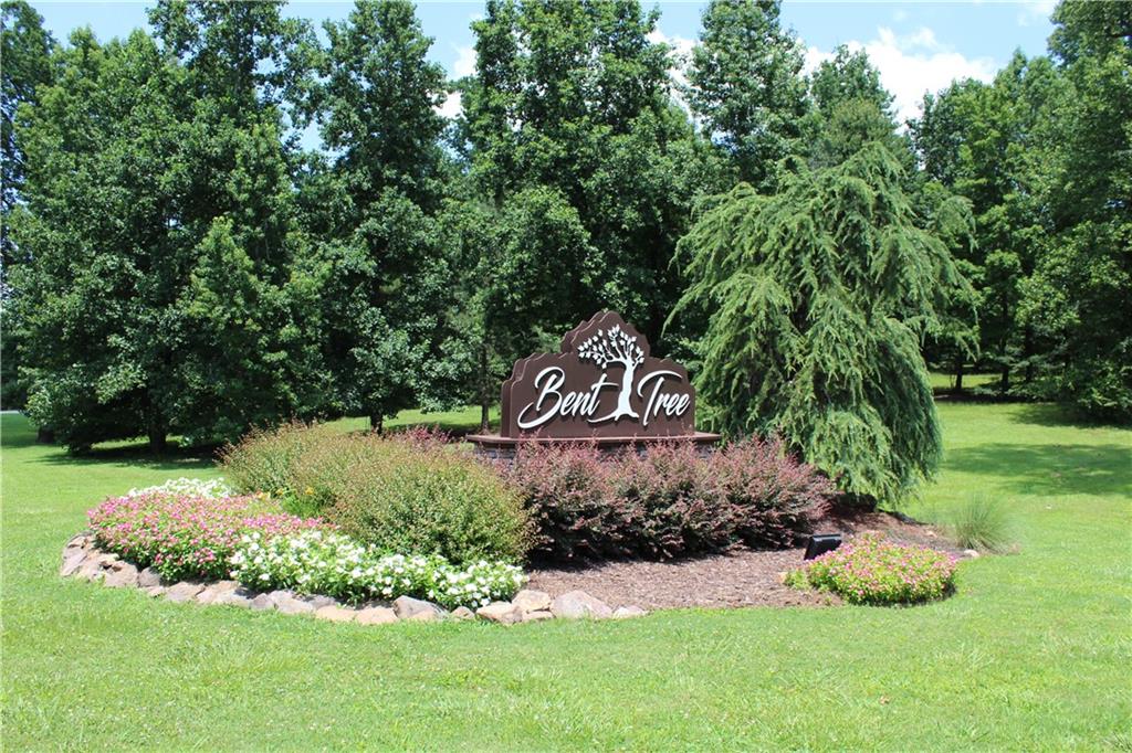 0 Denny Ridge Road Jasper, GA 30143 - Photo 2 of 44 a garden with lots of trees