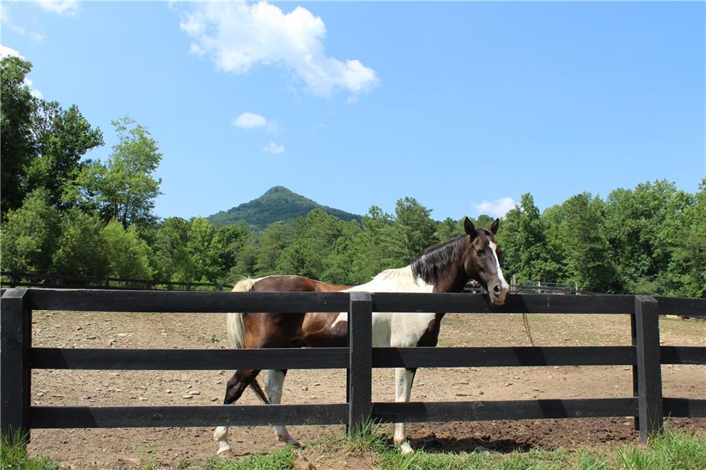 0 Denny Ridge Road Jasper, GA 30143 - Photo 21 of 44 a view of a lake from a balcony