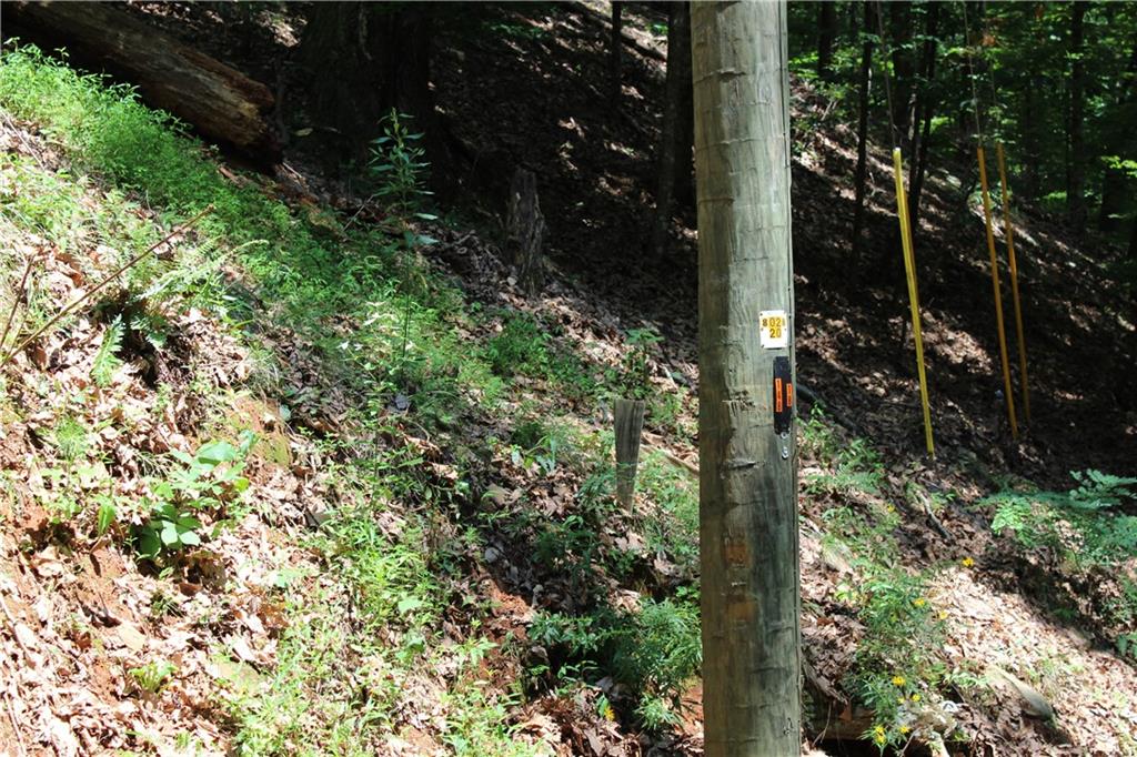 0 Denny Ridge Road Jasper, GA 30143 - Photo 40 of 44 an outdoor space with lots of trees