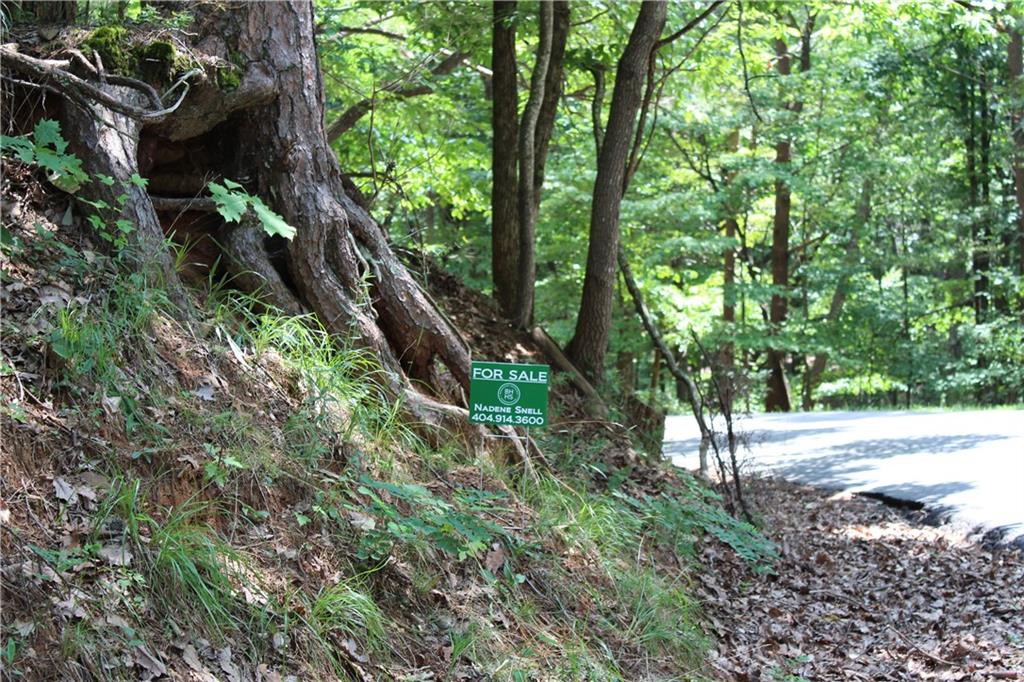 0 Denny Ridge Road Jasper, GA 30143 - Photo 4 of 44 a view of a yard with plants and large trees