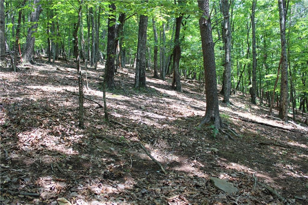 0 Denny Ridge Road Jasper, GA 30143 - Photo 41 of 44 a view of outdoor space and trees