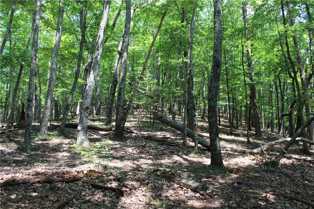 0 Denny Ridge Road Jasper, GA 30143 - Photo 44 of 44 a view of outdoor space with trees all around