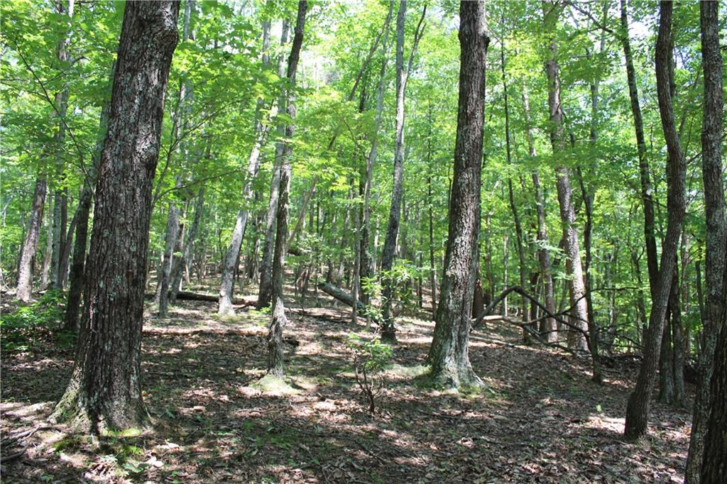 0 Denny Ridge Road Jasper, GA 30143 - Photo 6 of 44 a view of outdoor space and trees