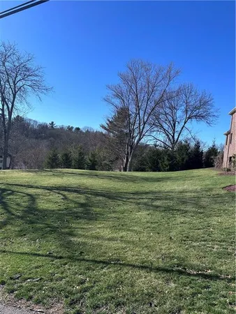 a view of a field with large trees