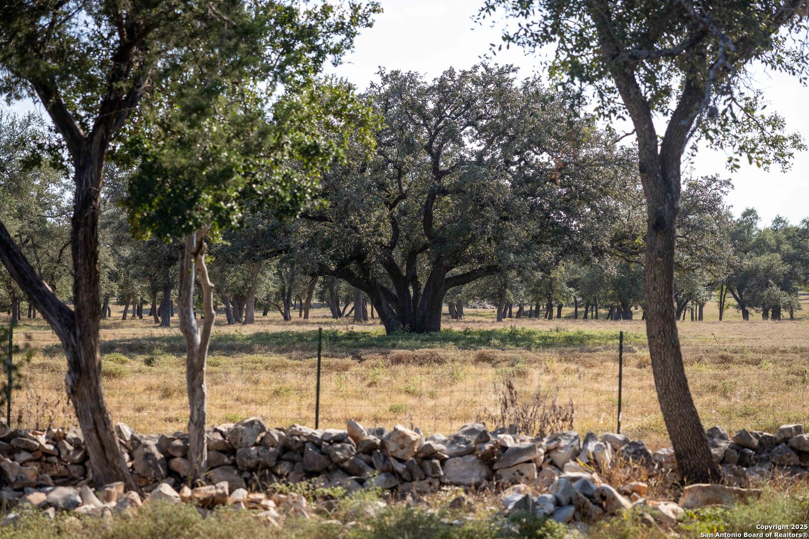 27919 Bogen Road New Braunfels, TX 78132 - Photo 11 of 23 a view of a lake with a tree