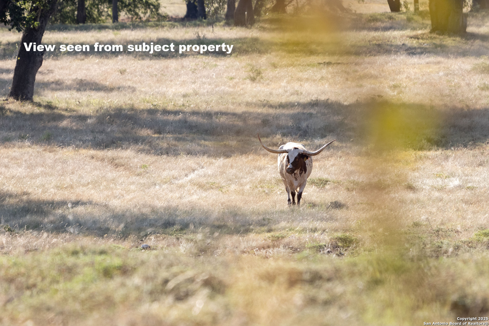 27919 Bogen Road New Braunfels, TX 78132 - Photo 15 of 23 a view of a water pond