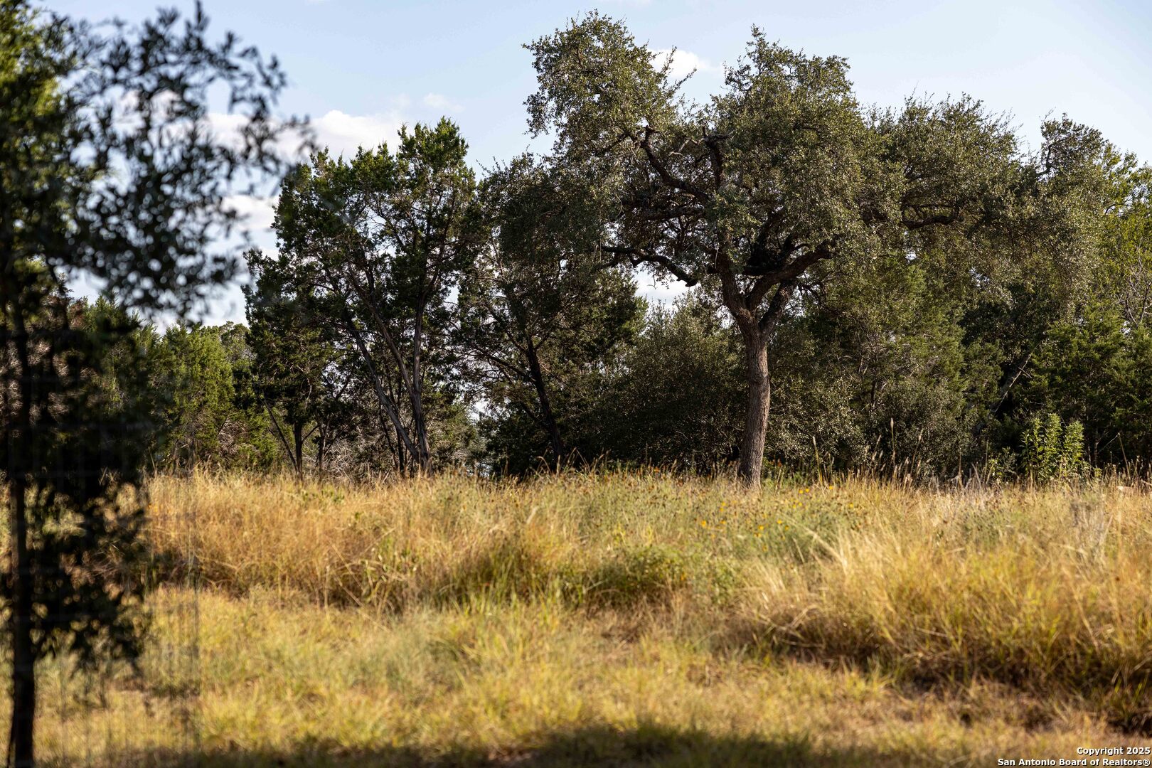 27919 Bogen Road New Braunfels, TX 78132 - Photo 5 of 23 a view of a lake