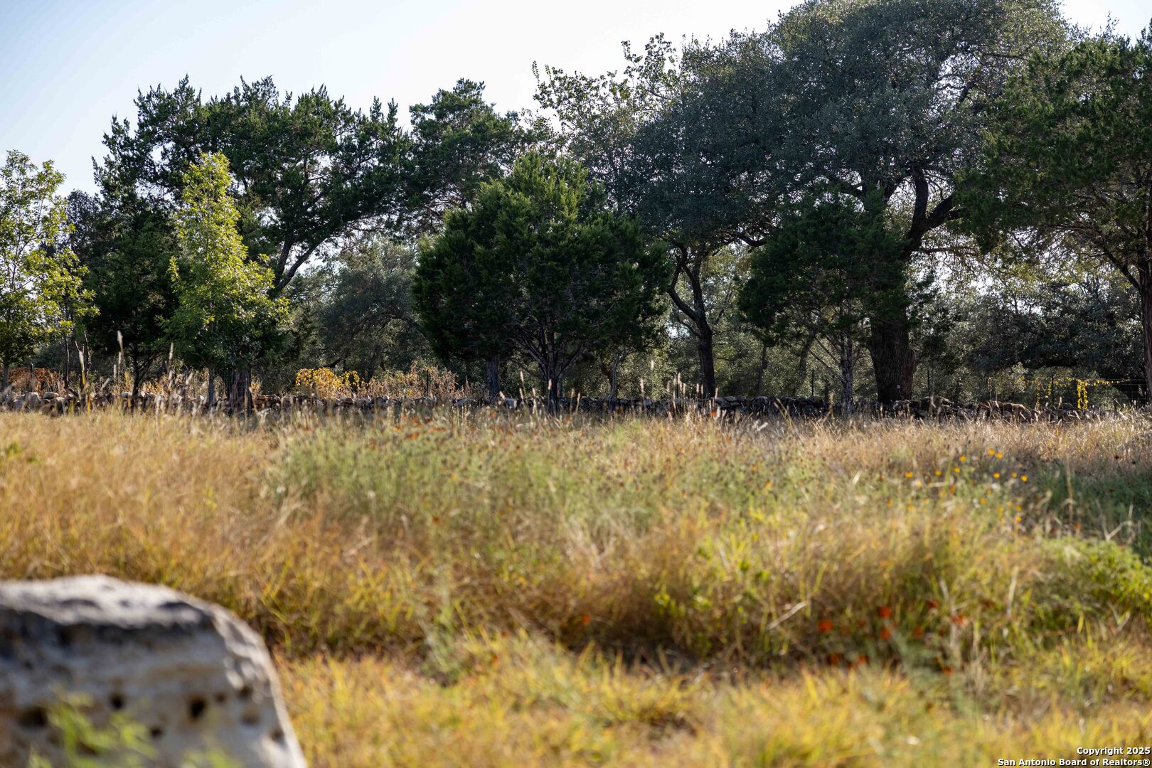27919 Bogen Road New Braunfels, TX 78132 - Photo 6 of 23 a view of lake view
