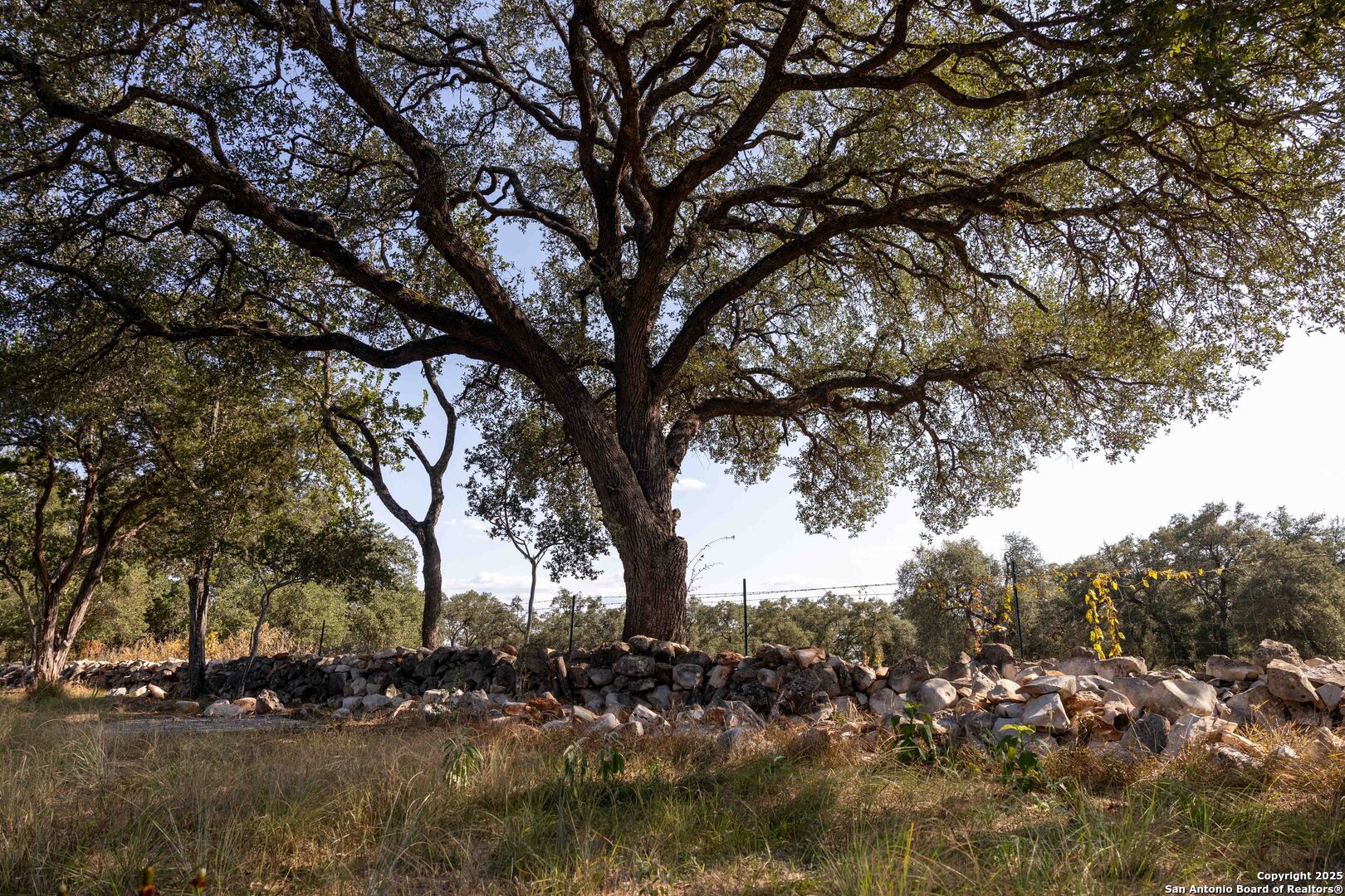 27919 Bogen Road New Braunfels, TX 78132 - Photo 8 of 23 a view of tree covered with snow