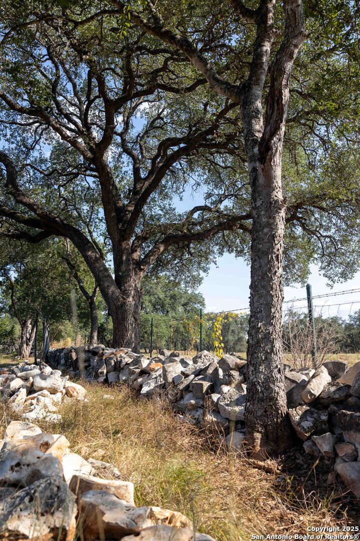 27919 Bogen Road New Braunfels, TX 78132 - Photo 9 of 23 a view of swimming pool with a yard and trees