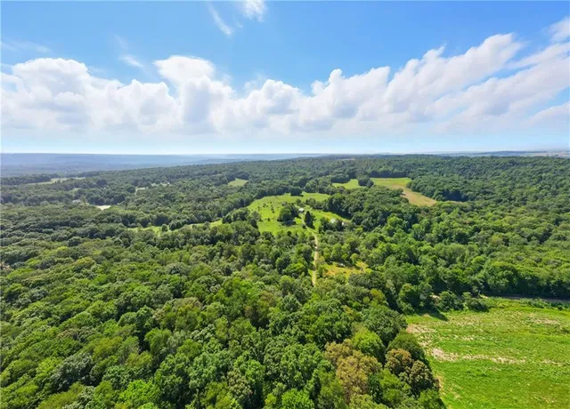 a view of a green field with lots of bushes