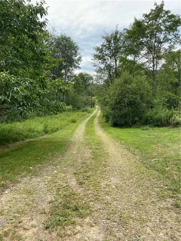 a view of a green yard with large trees